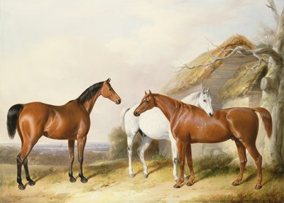 Fuori dalla stalla, 1845 da William Barraud